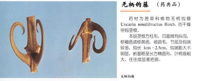 看红楼梦要注意什么,看红楼梦需要知道哪些知识点