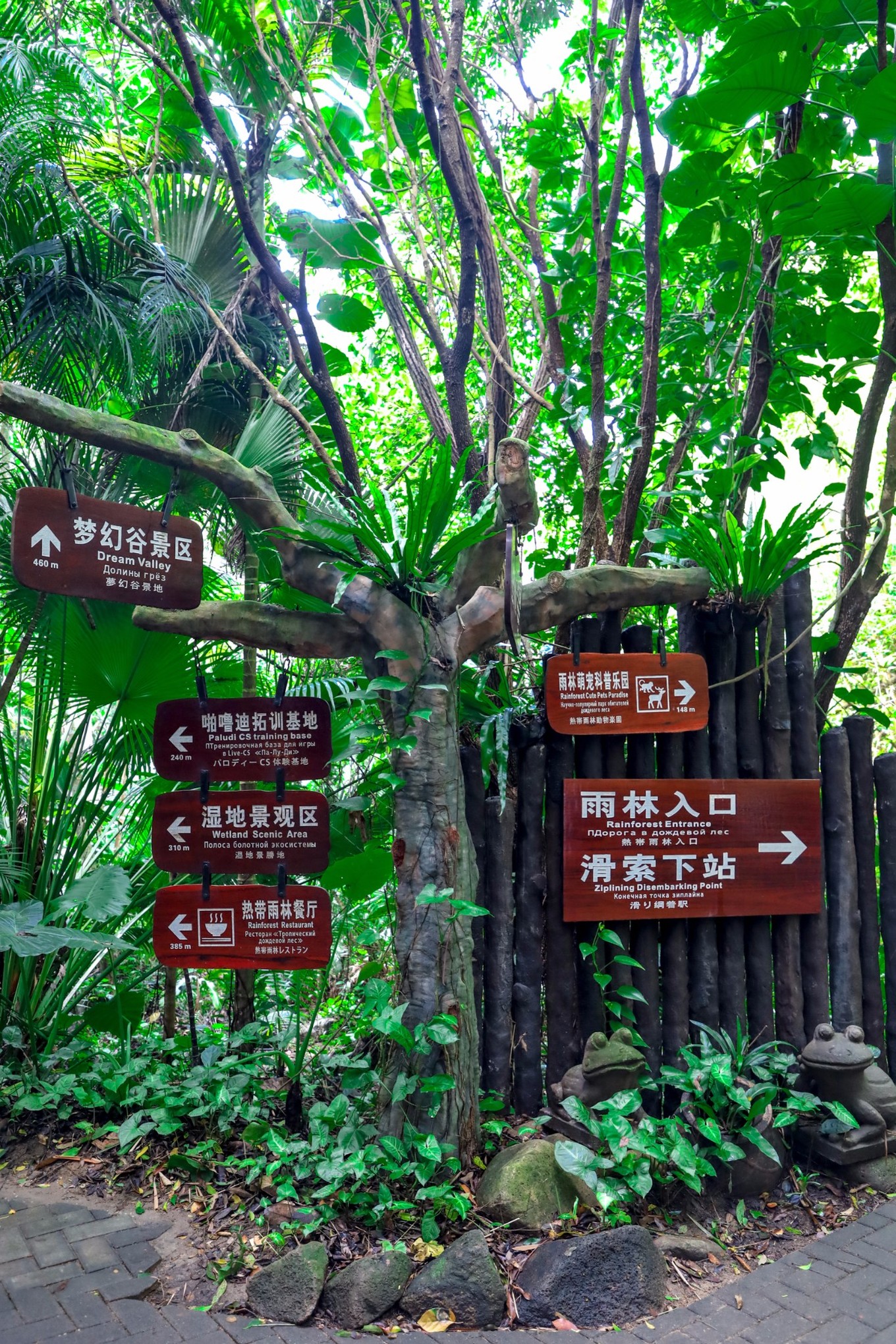 呀诺达雨林探险是什么,三亚呀诺达雨林正规吗