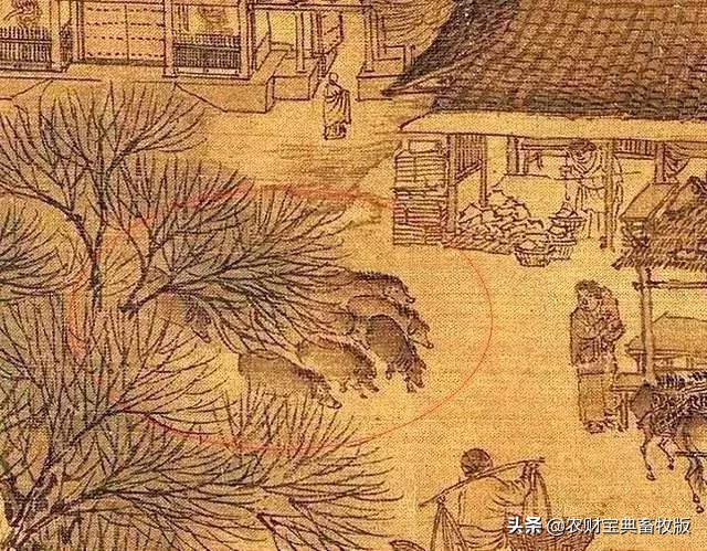 教你如何画猪,来一个画猪教程