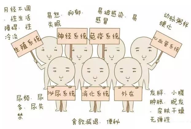 姐妹为什么会变成黄脸婆,姐妹变成黄脸婆