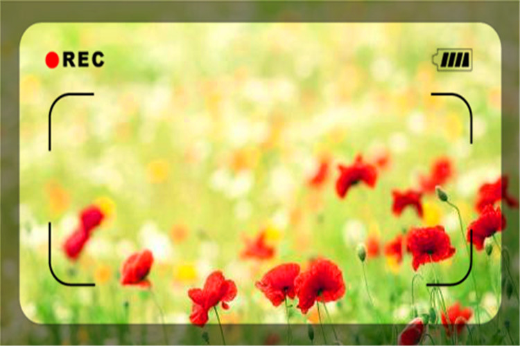 一个人负债多少才叫过高,负债太多如何寻求帮忙