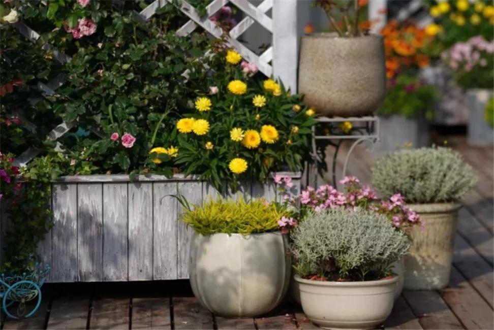 星空露营生态园,星空露营户外团建策划