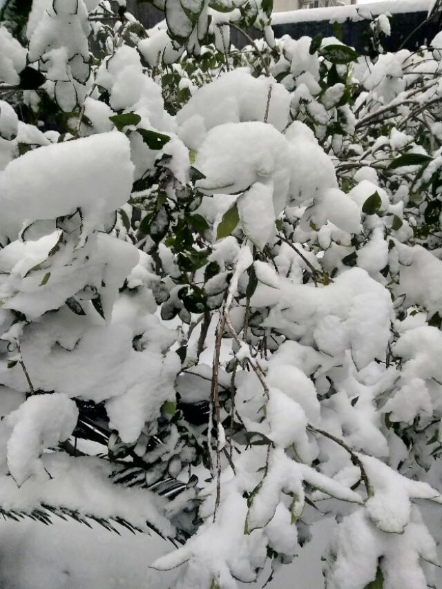 2018年辛苦了,2018辛苦了致自己