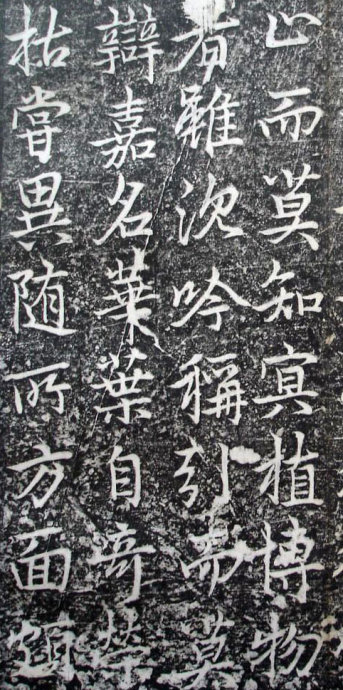 唐代李邕《婆罗树碑记》