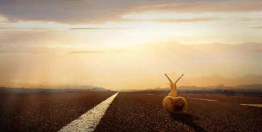 平面设计零基础,家装平面设计教学零基础入门