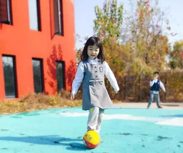 身体大揭秘动画,身体大揭秘