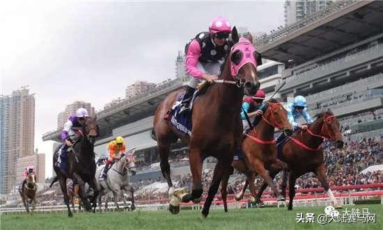 揭秘职业赛马骑师一年能赚多少钱,在马场做马蹄师收入如何