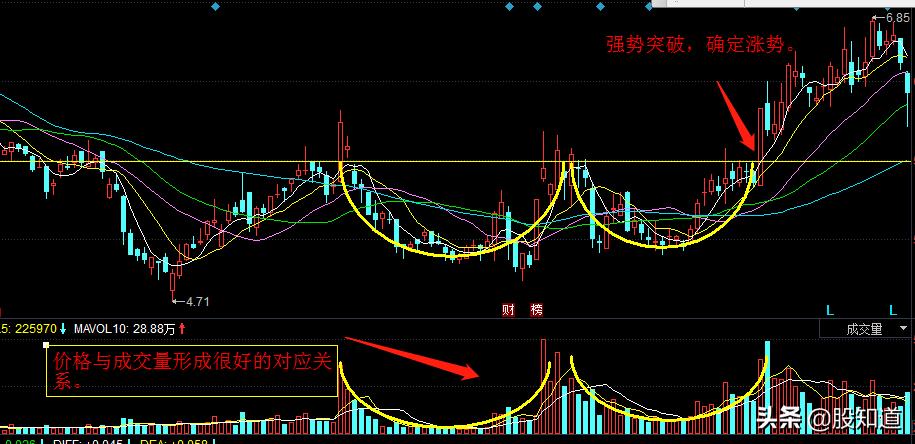 选择股票的最重要指标,如何选一只好股票