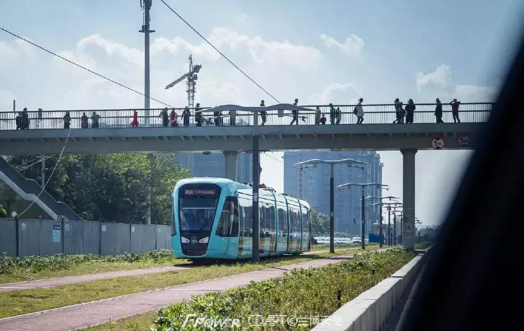 从蓉2来｜天天看见“叮叮猫”跑来跑去的，它到底在忙什么啊？