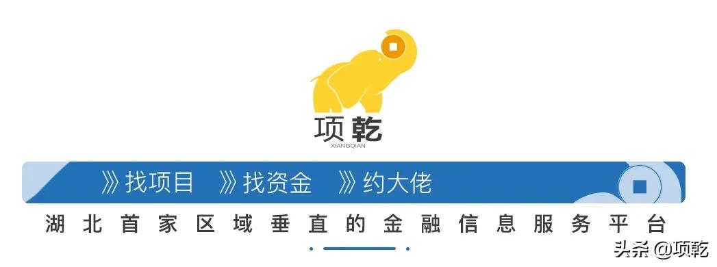 大牛股盈方微,盈方微2024还会涨到6.0吗