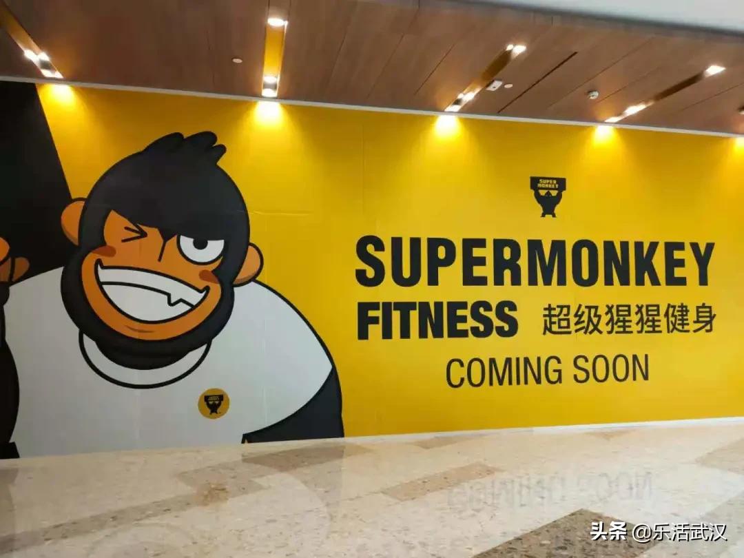 武汉恒隆和武广竞争,武汉恒隆广场武汉天地