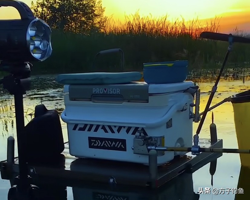 国家湿地候鸟保护区,黄河入海口处湿地候鸟迁徙路线