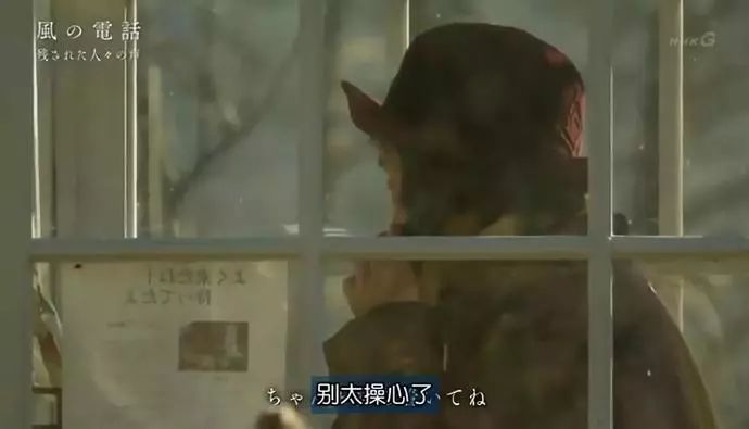 日本高分纪录片免费观看,日本的高分纪录片