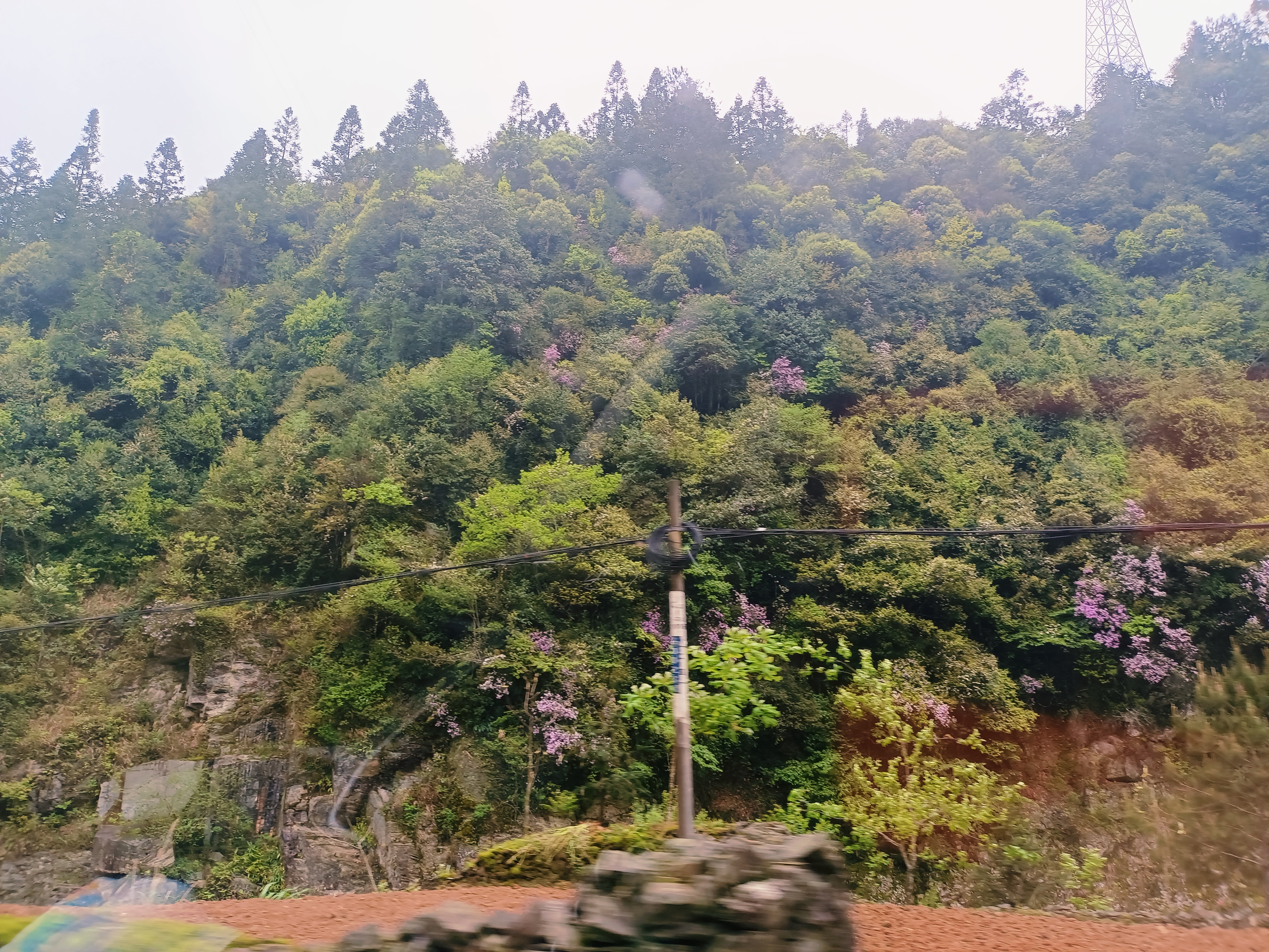 桂林龙脊梯田一天游玩攻略,桂林龙脊梯田旅游详细攻略