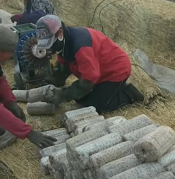 【原创】黑木耳代料栽培技术