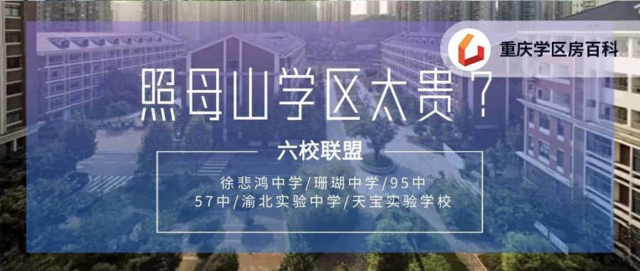 照母山有重点小学吗,照母山学区划分