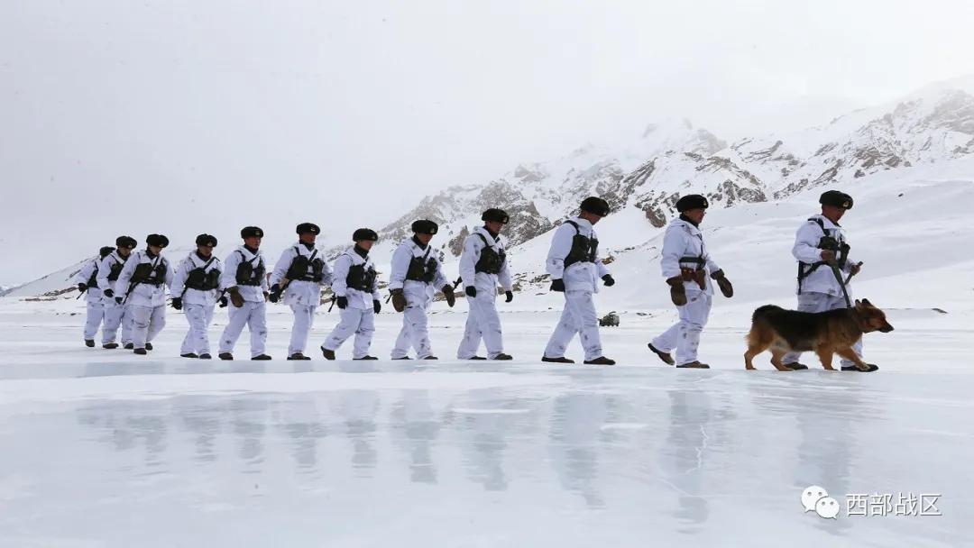 西部战区免费公众平台,西部战区官方微信公众号上线