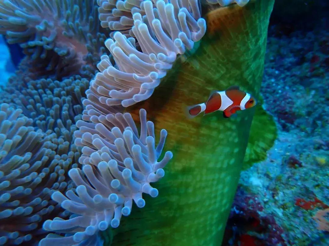 毕业旅行去台湾有哪些注意事项,大学生去台湾旅游攻略