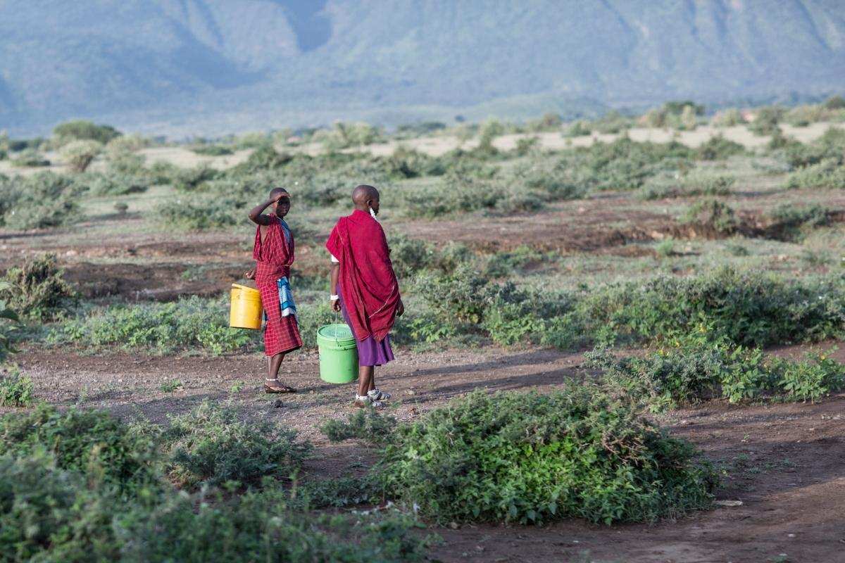 神秘的马赛人*力武**值有多强？牛群见了都害怕，狮子见了都发抖