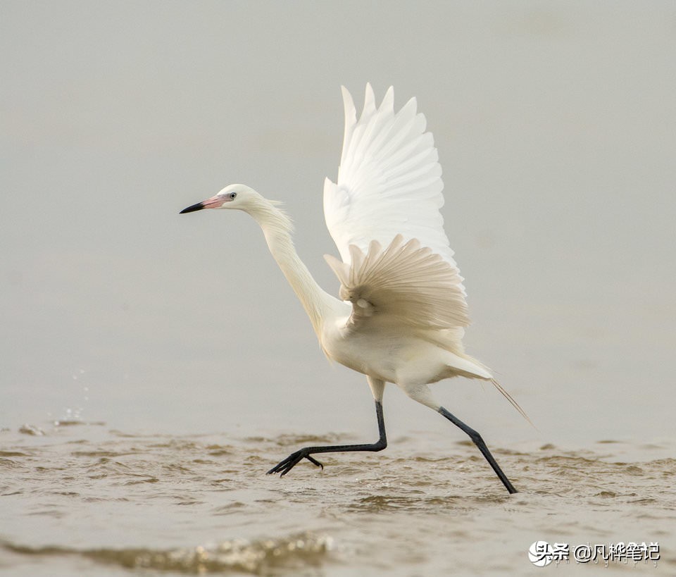 选择曝光快捷键,选择曝光