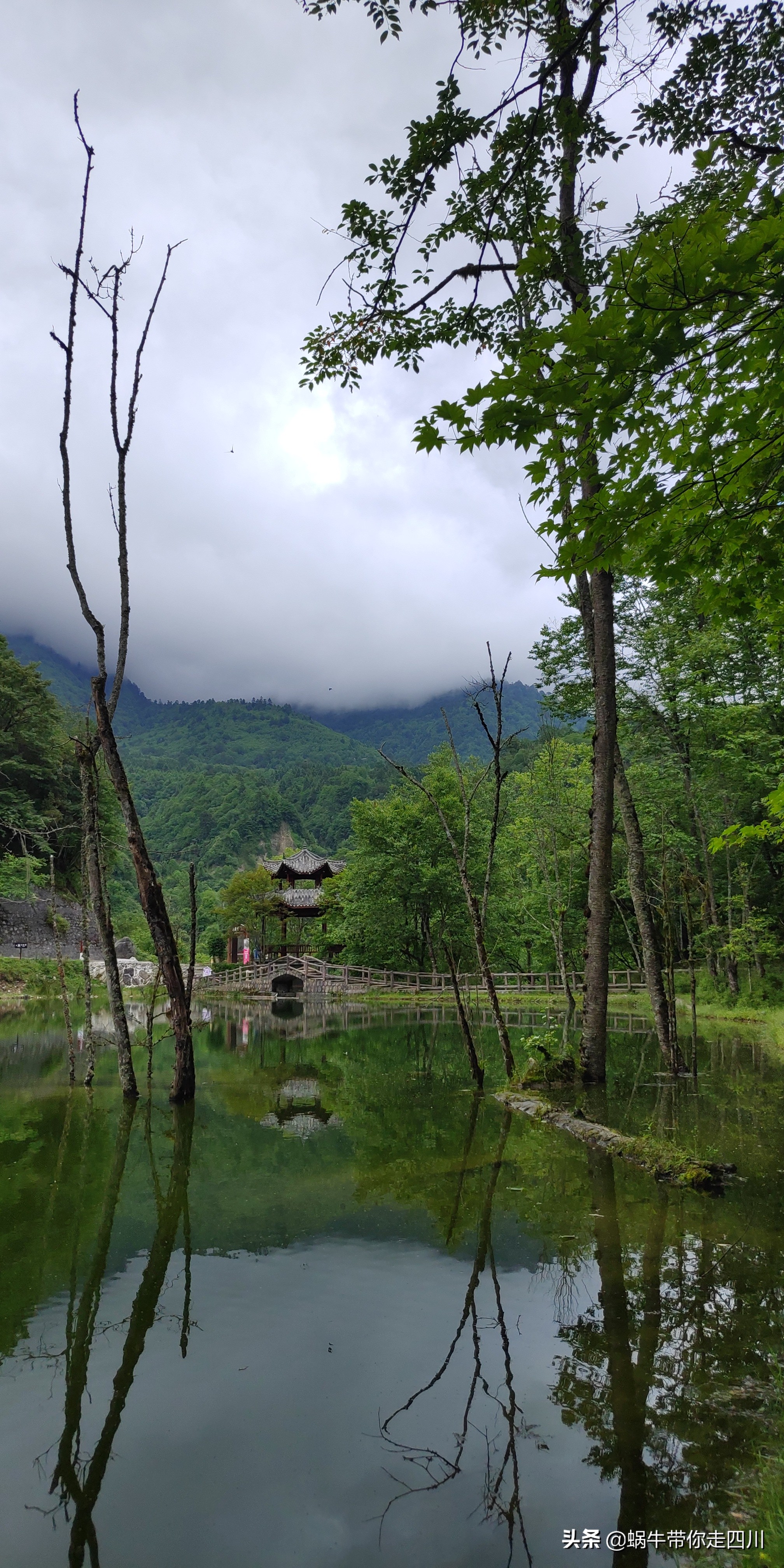 带小朋友出去看小动物,带小孩去海洋动物园