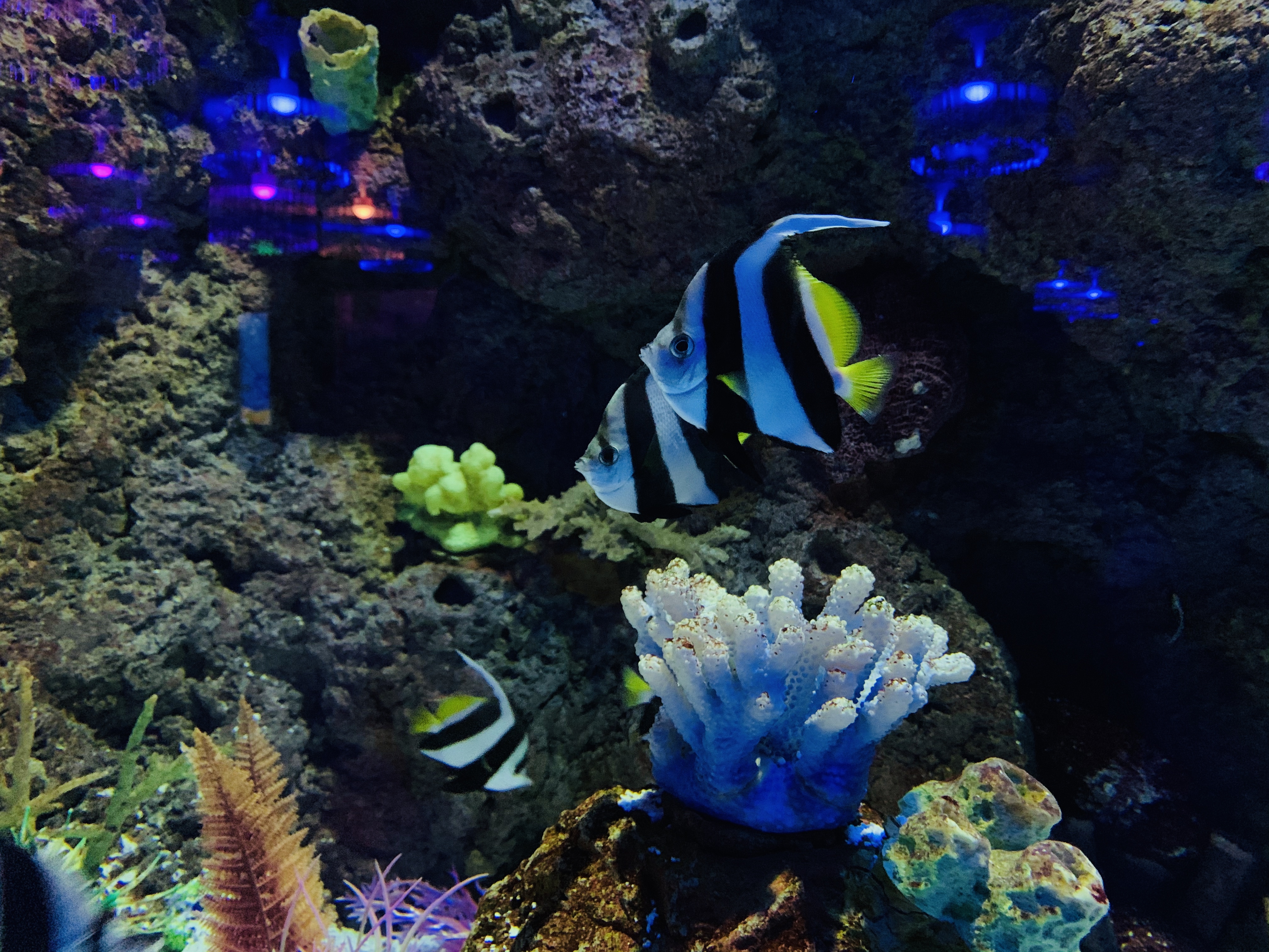 北京富国海底世界周围景点,工体富国海底世界游览攻略