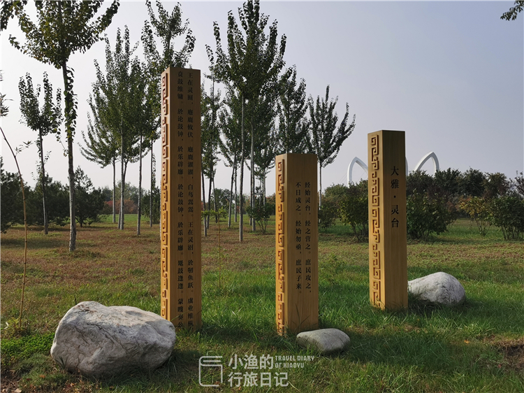 西安适合拍照的湿地公园,西安湿地公园赏花