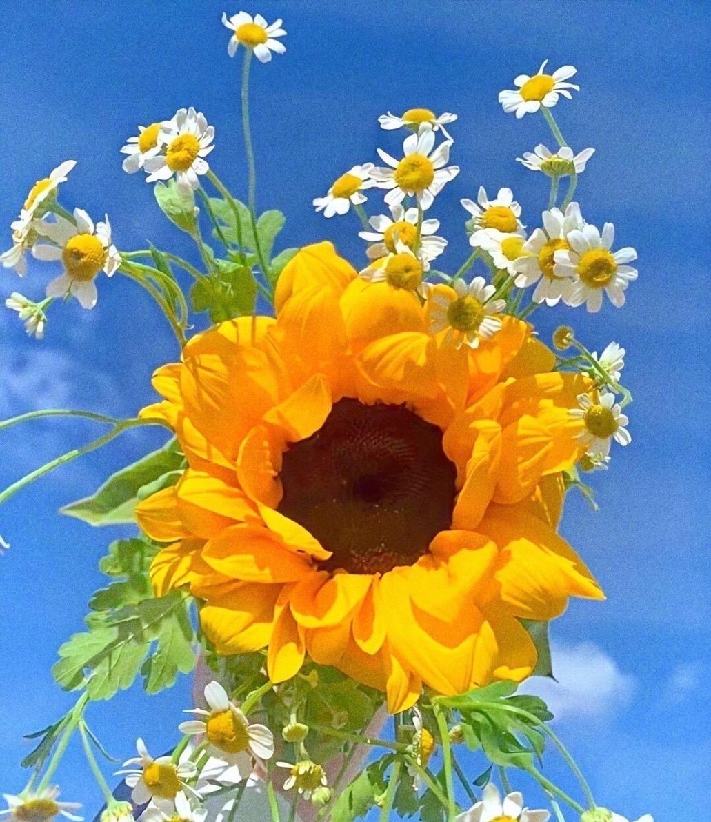 如果心里有愧疚怎么弥补,如果心中有遗憾该怎么办