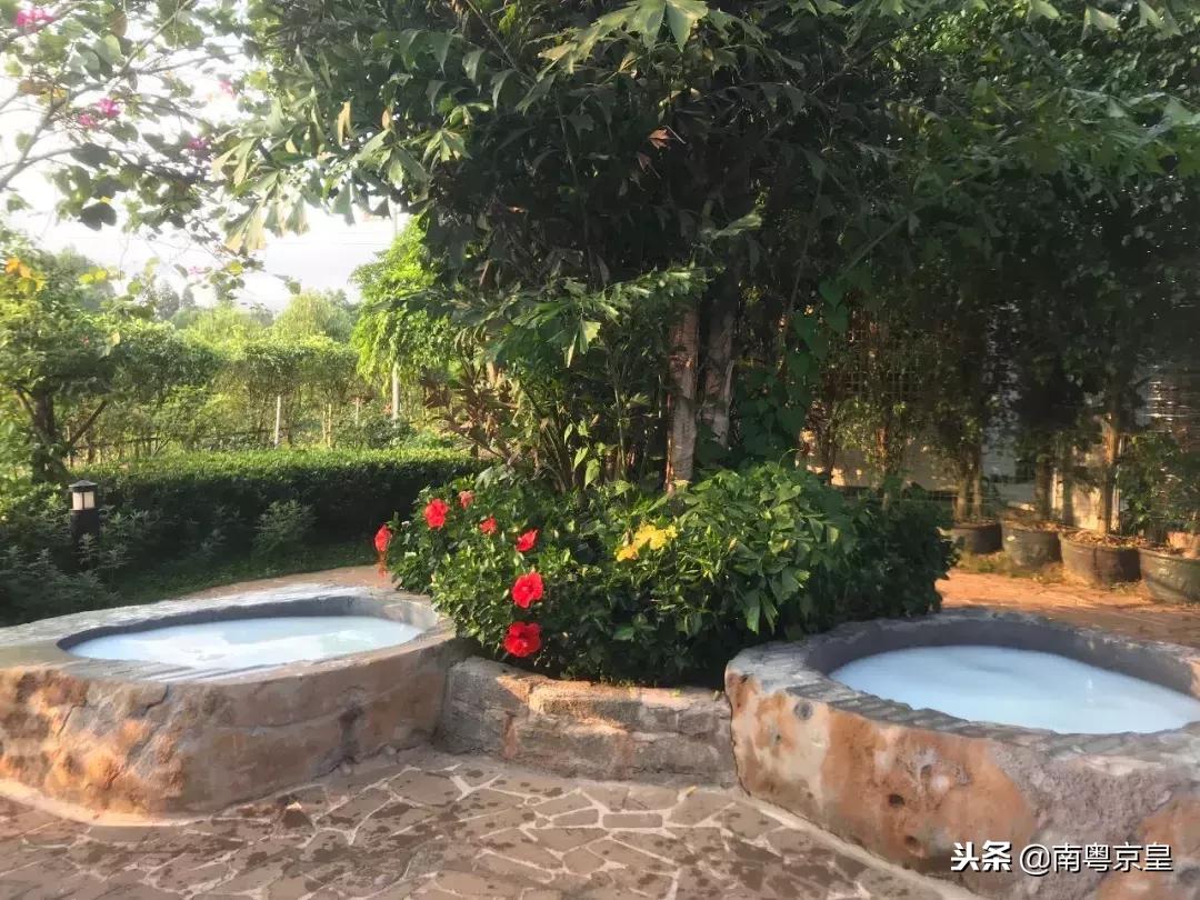 温泉季,到冬无严寒的湛江雷州樟树湾五星温泉度假村二日游