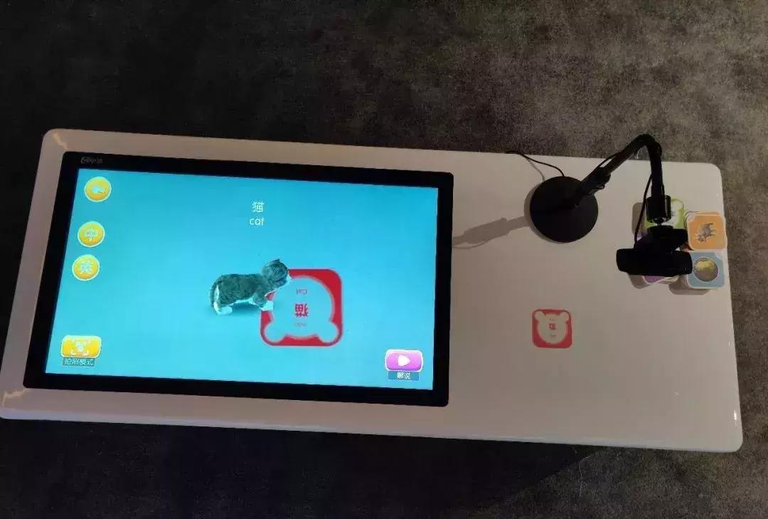 广州高性价比游乐场摩天轮,广州白梧桐摩天轮轰趴公园