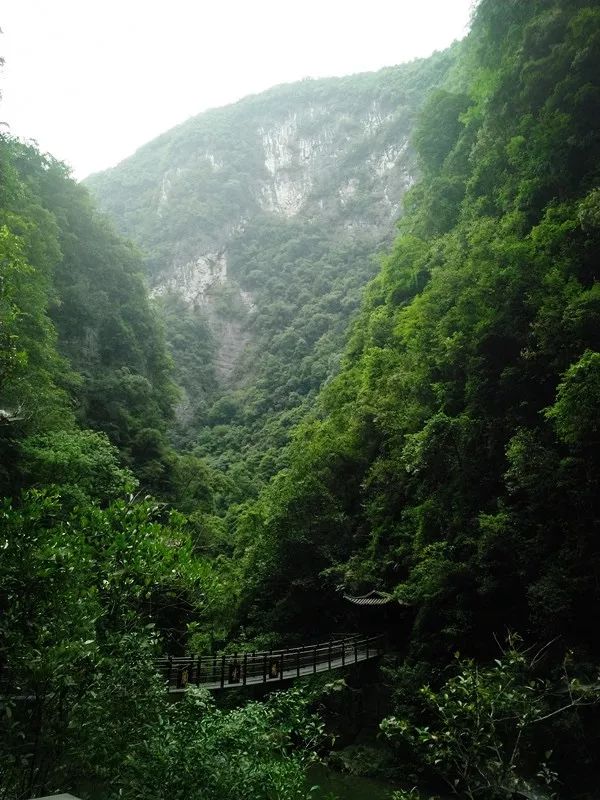 恩施鹤峰旅游攻略一天,恩施鹤峰旅游攻略