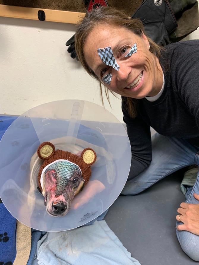 狗狗烧伤烫伤处理方法,狗狗皮肤被驱虫药烧伤