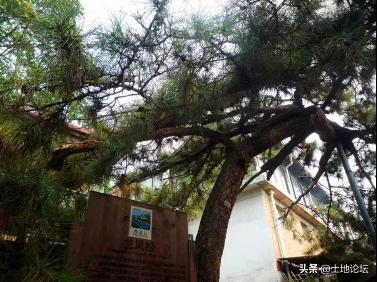 北京农村推出新院子租赁,北京美丽乡村农村小院租赁平台