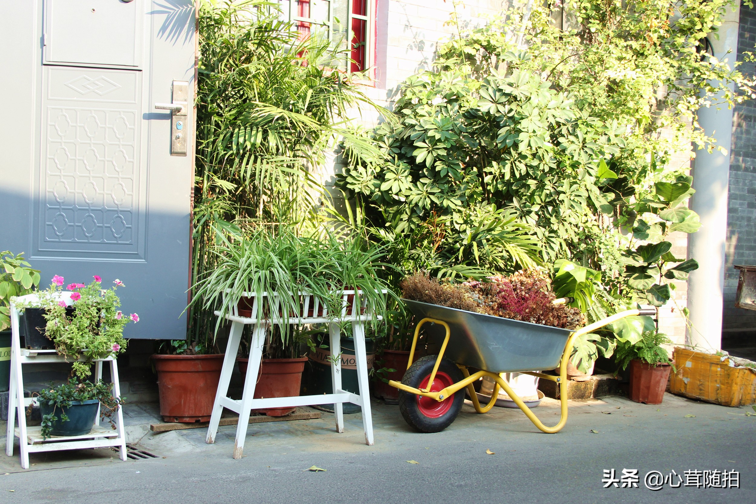 南锣鼓巷是游客向往的地方,南锣鼓巷没有了昔日的繁华