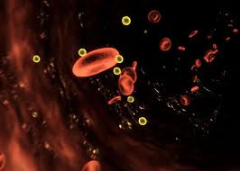 牛焦虫病怎么治疗最有效,治疗牛焦虫病的药