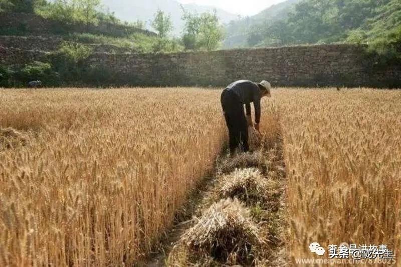 甘肃人有话说吗 (甘肃话说甘肃)