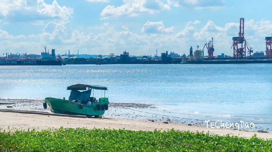 湛江一日游最佳景点湛江特呈岛,特呈岛湛江旅游攻略