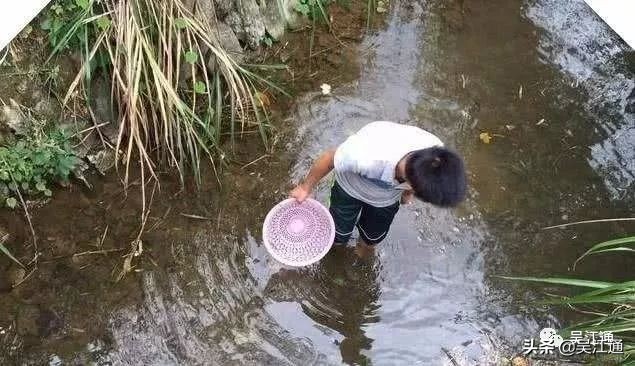 洗脚上岸,洗脚上岸读历史