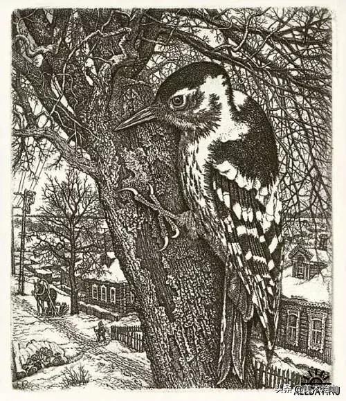 德国风景素描大全,东欧风景素描