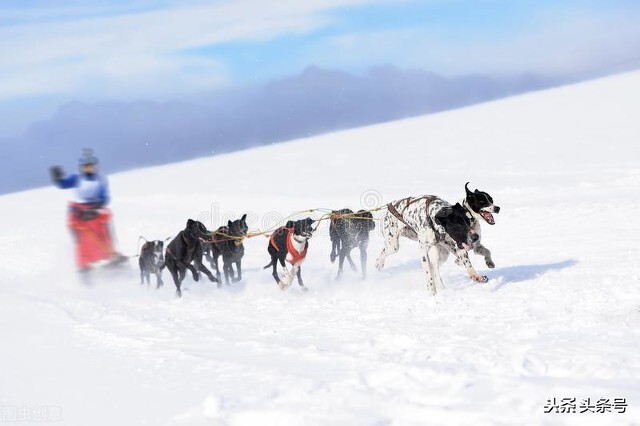 愿望清单视频,北极光旅游攻略大全