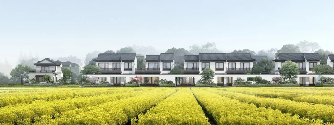 蓝城史诗级田园巨著，或将引领十万武汉人“上山下乡”