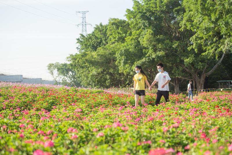 深圳五一旅游攻略推荐版,五一旅游推荐深圳哪里好玩的地方