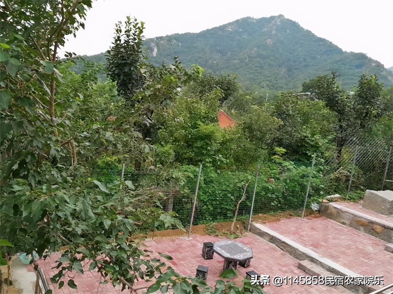 蓟县盘山青岚山庄农家院,享受蓟县农家院的风景