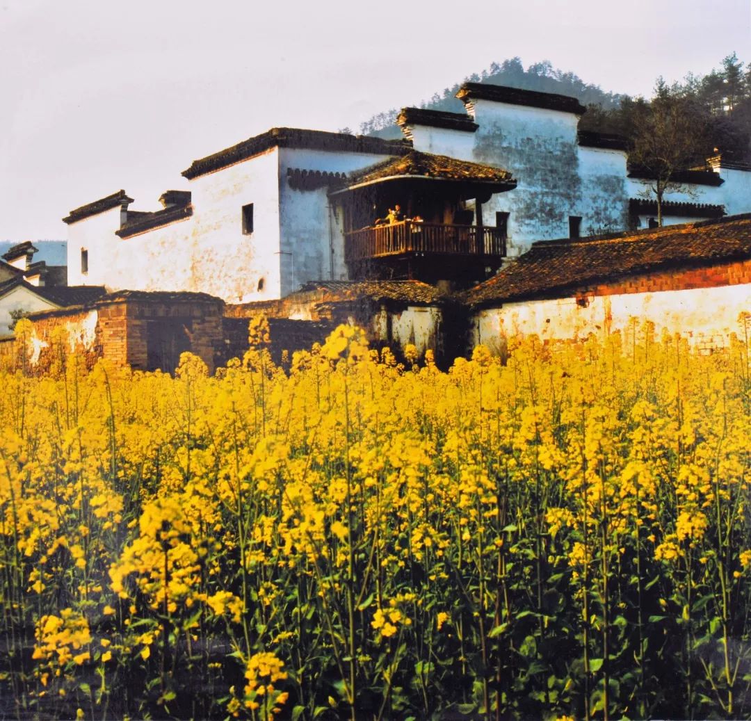 寻找桐庐幸运“嬉”客!游桐庐,我们为您买单!现金8888元