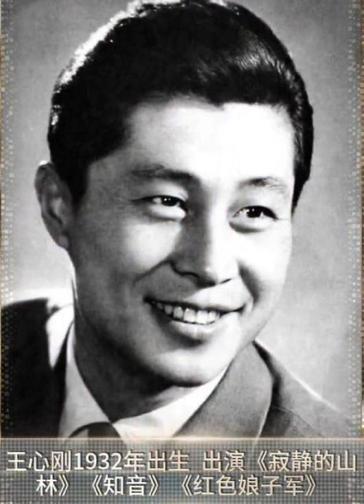 影视荧屏中经典怀旧的十大硬汉,公认最经典的5位荧幕硬汉