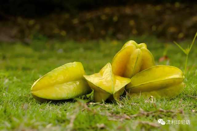 清凉一夏愉快吃瓜—印尼常见水果大全