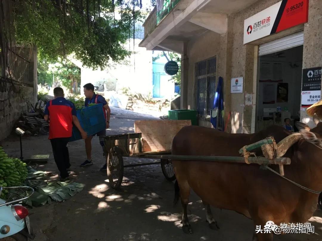 快递创业的项目概况,创业新开店的成功案例