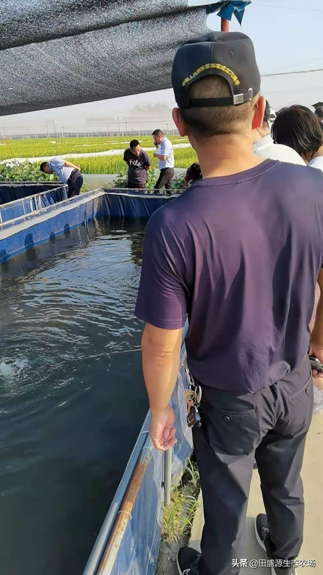 农村养殖水蛭真的可行吗？