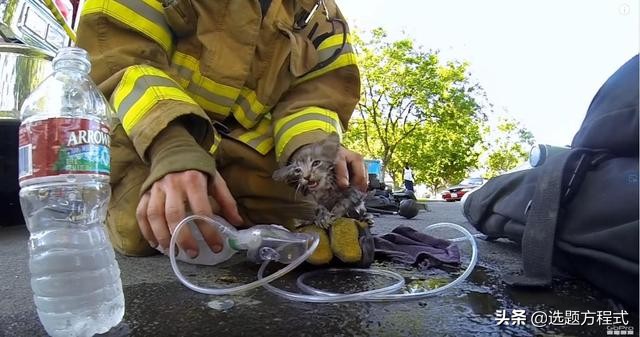 客户难以拒绝的视频创意:15个案例教你用纪录片的方式讲营销故事