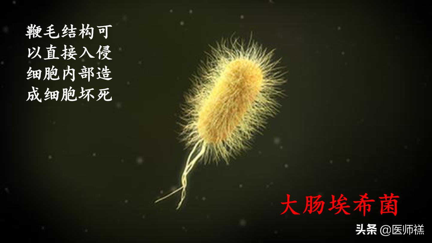 人怎么会拉肚子,科普腹泻是怎么回事